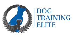 Dog Training Elite Franchise