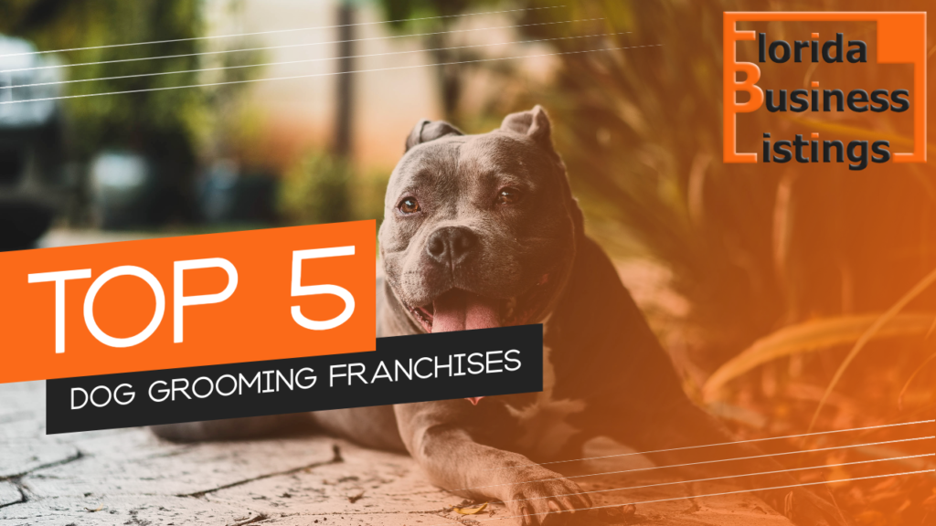 Top 5 Dog Grooming Franchises