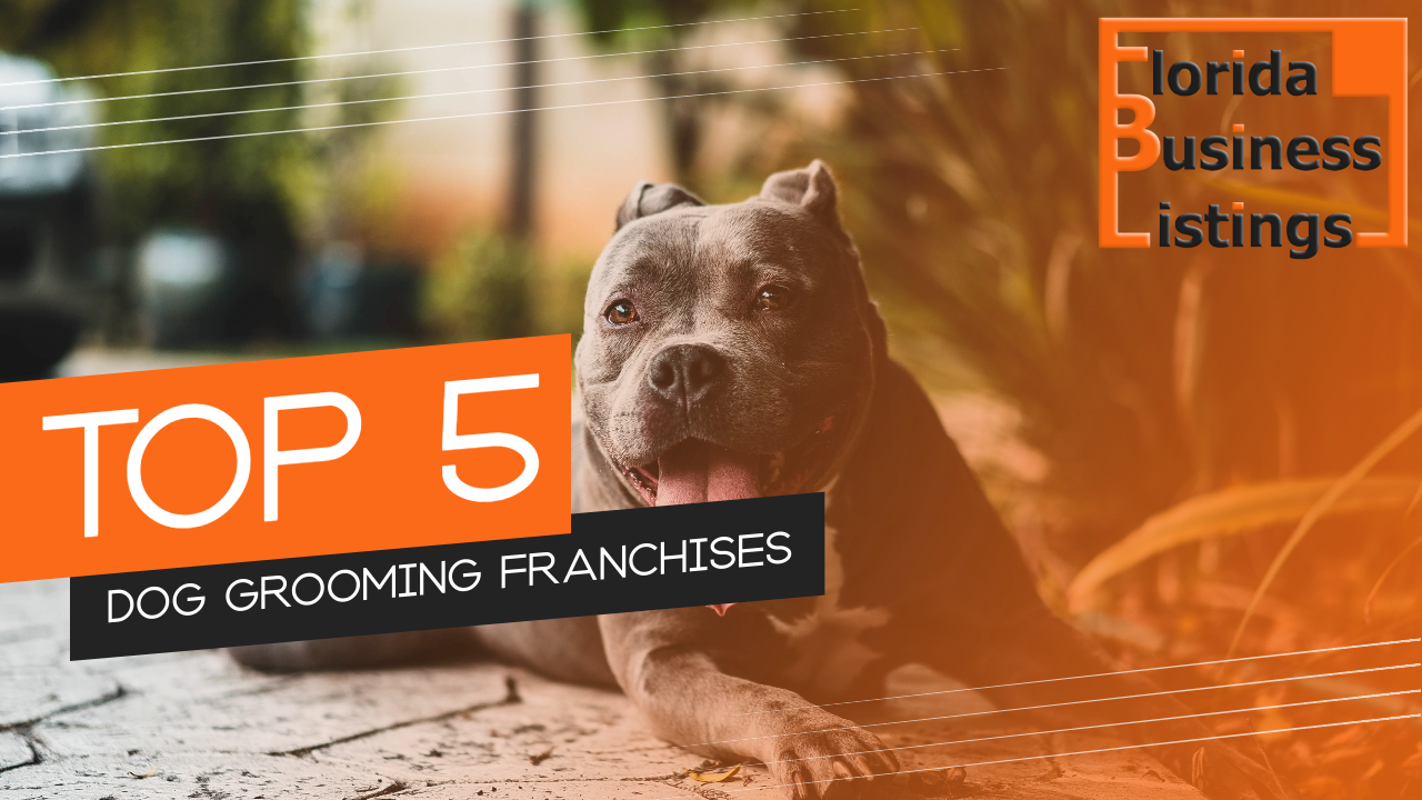 Top 5 Dog Grooming Franchises