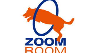 Zoom Room Franchise