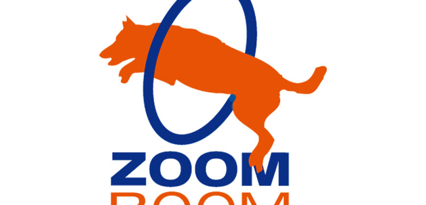 Zoom Room Franchise